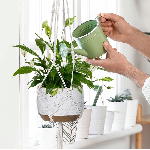 Other - Macrame Plant Hangers